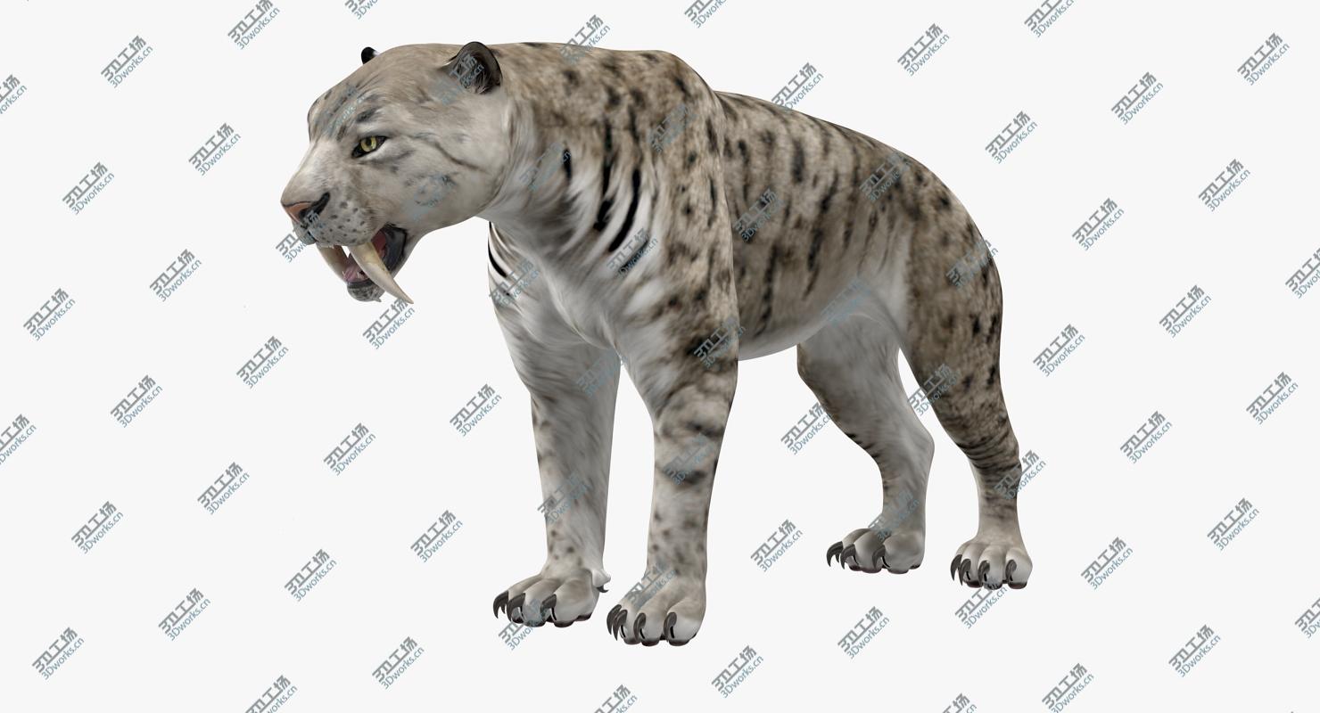 images/goods_img/202104021/3D Arctic Saber Tooth Cat model/3.jpg